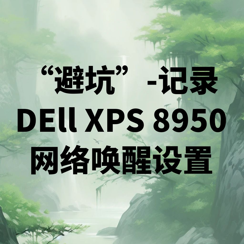 “避坑”-记录DEll XPS 8950网络唤醒设置（已成功）